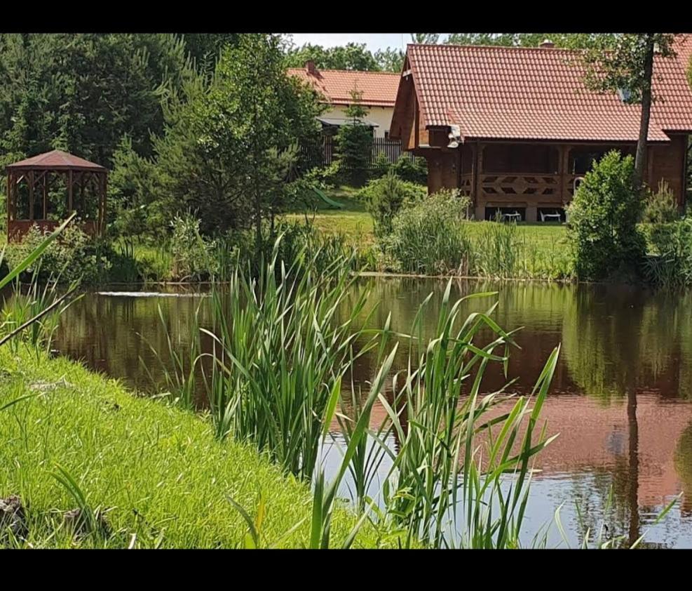 Holiday home Dom Nad Stawem Dluzec 55a